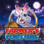 Farmer`s Fortune